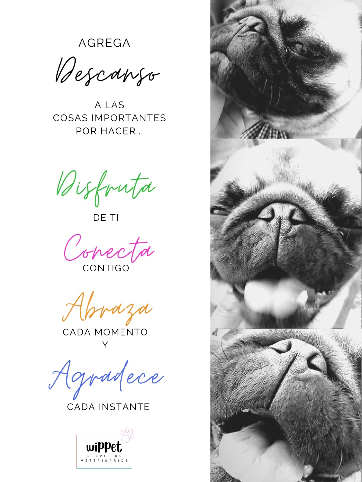 mensajesamor